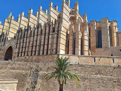 Mallorca 2025 Bild 8