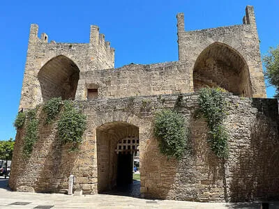 Mallorca 2025 Bild 16