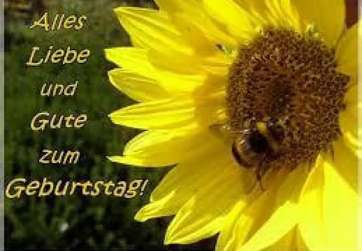 Runde-Geburtstage-2023